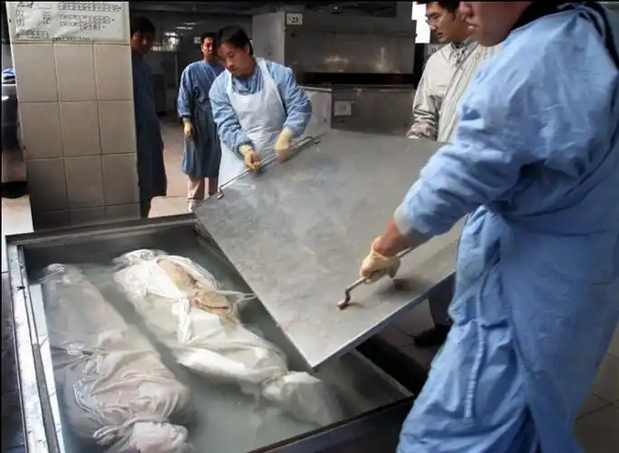 p>所谓人体标本就是由真实的人体,经过一系列的 a href="#" data