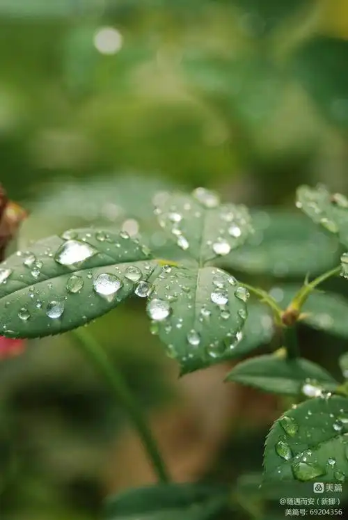 750_1121竖版 竖屏