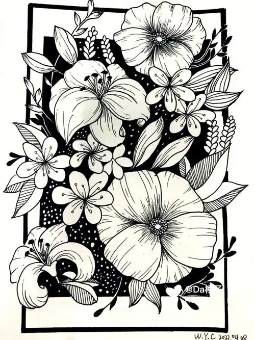 黑白线描每日一更