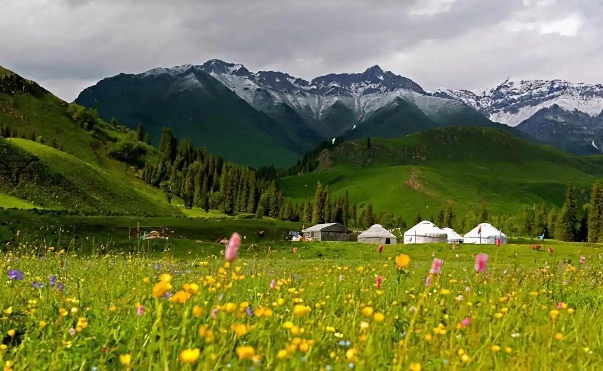 回顾:新疆天山多次出现"红柳娃"?身高30厘米,喜欢偷路人的食物