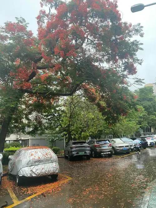 miss kiky 的想法: 把生活中散落的一地鸡毛梳理整齐 | 一地… - 知乎