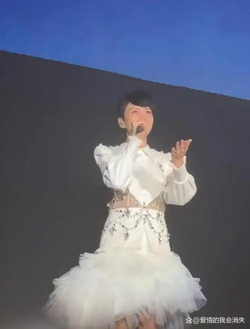 香港歌手梁咏琪近日在深圳举办个人演唱会,吸引了无数歌迷的支持.