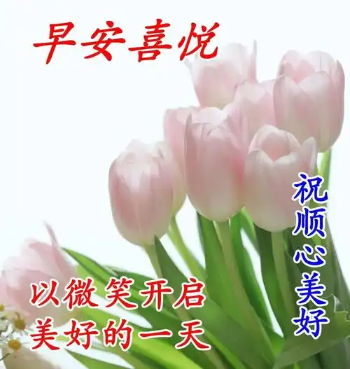 夏天早上好图片祝福语全集2021 新出的微信早晨表情问候句子