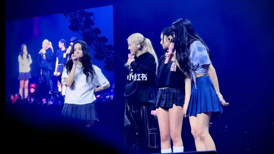 9297blackpink演唱会怼脸照