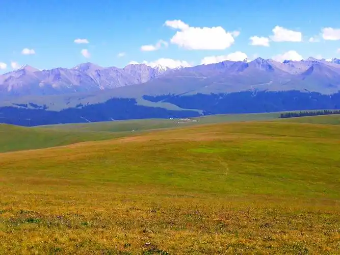 喀拉峻大草原属典型的高山五花草甸天然大草原,海拔在1305-3957米之间