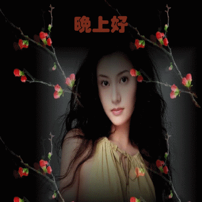 朋友赠图-晚上好(美女)