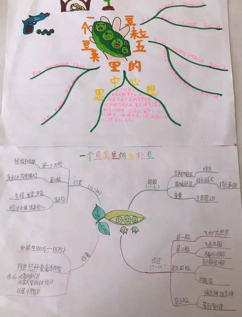 四上《一个豆荚里的五粒豆》思维导图 四上《一个豆荚里的五粒豆》