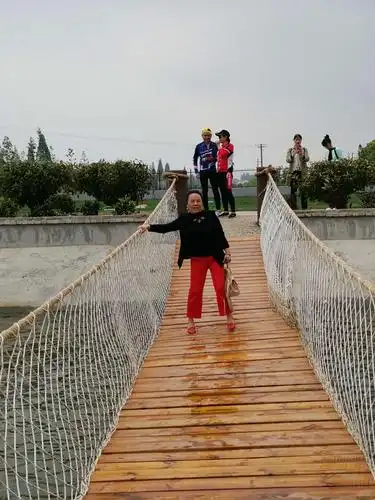 体验网红摇摇桥,刺激.