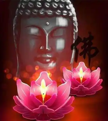 品读莲文化的内涵_莲花_佛教_我国