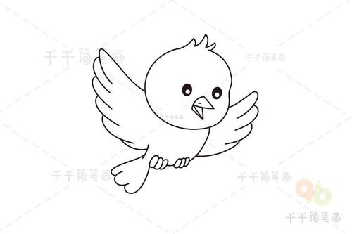 超级好学的小鸟简笔画