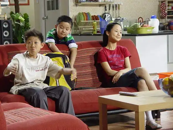 那些年我们追过《家有儿女》的家装风格