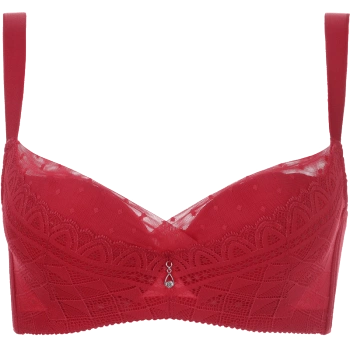 shcer/茜施尔内衣夹棉杯薄款网纱边无痕设计聚拢调整型文胸 红色 70d