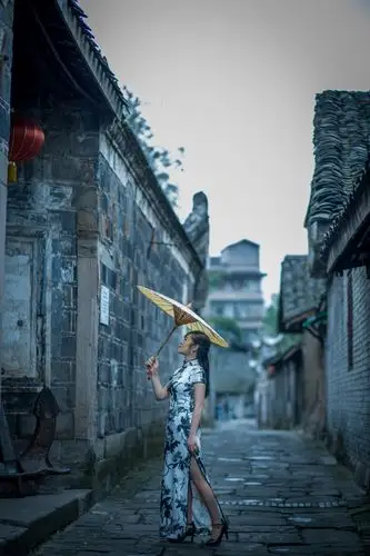 其它 《雨巷》 写美篇        我便带着戴望舒"雨巷"的意境,在这深秋