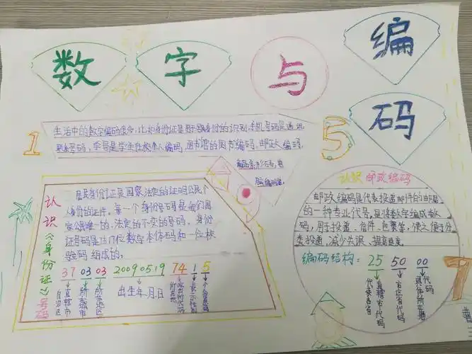 神奇的数字编码 ------三年级数学实践与综合应用 高倩