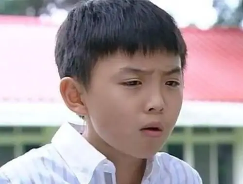 在娱乐圈里大多数童星出身的演员都有一个很好的发展,但是也有一些人