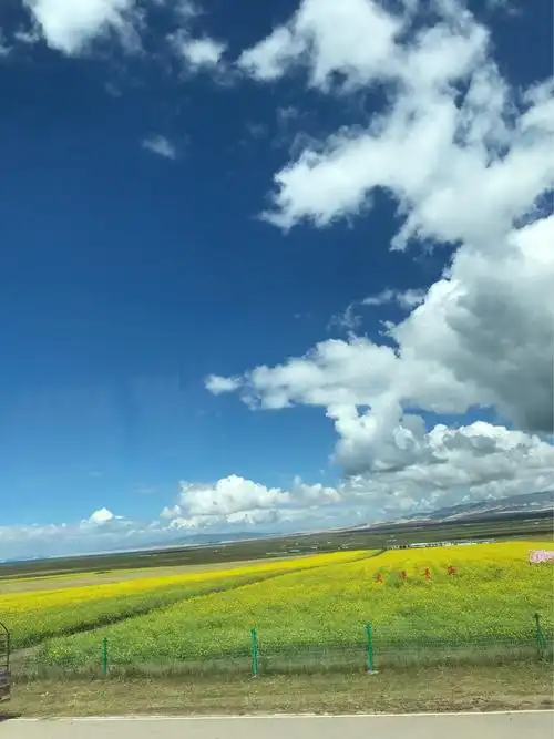 守望属于你我的一季风景,独享你我一段清宁美好的时光