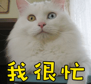 钱是很忙图片_钱是很忙动态图_钱是很忙表情包gif动图下载_soogif