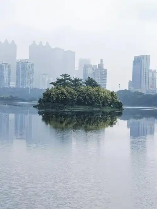 美丽的湖心小岛