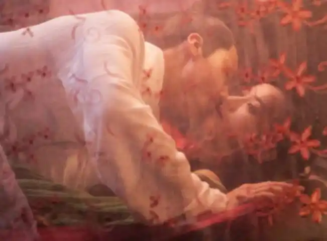 青丘狐传说 全剧情揭秘 古力娜扎蒋劲夫床吻戏亮了