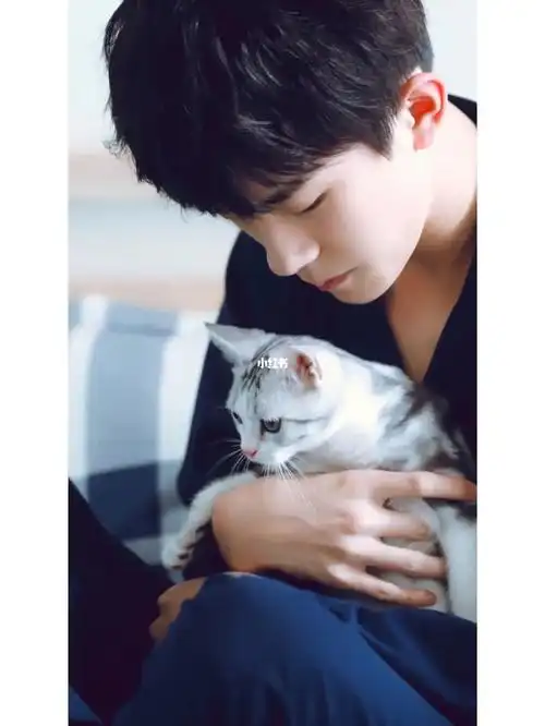 易烊千玺和猫壁纸
