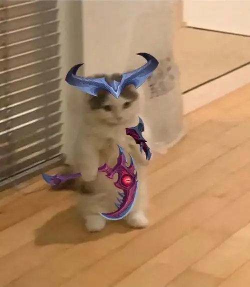 英雄联盟猫猫表情包集合(第一期)