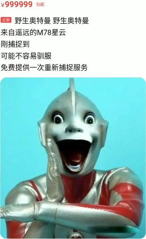 闲鱼把网友p的神兽图做成手办了看完笑死人