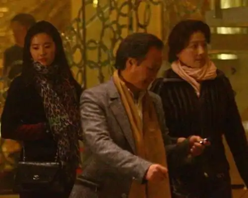 图网曝刘亦菲的干爹是富豪传其14岁被陈金飞包养一夜成名