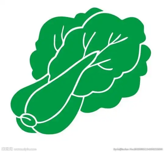 矢量白菜
