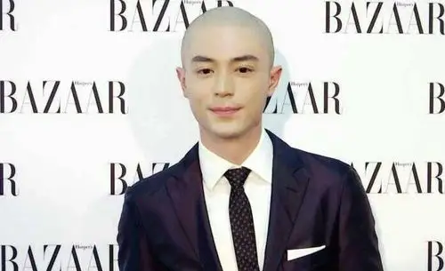 (同是光头,范冰冰杨幂依旧美丽,胡歌李易峰谢霆锋霸气侧漏)