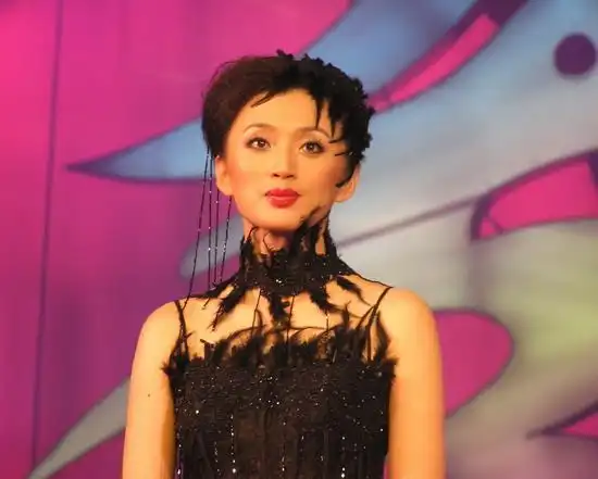 图文:《梅艳芳菲》选秀揭晓--最上镜奖张澍