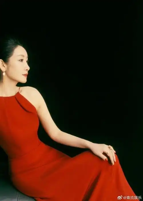 秦海璐有多少红衣服