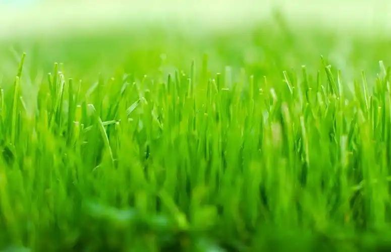 耀眼夺目 太阳光束 ipad air壁纸 双重享受 鸡尾酒饮料 ipad air壁纸