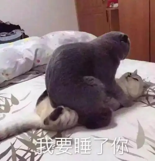 哈你妈逼,你妈死了啊,这么高兴(fuck you) - 斗图表情包 - 斗图神器