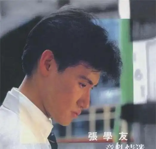 世上老婆千千万,最怕罗美薇这种"挑剔":张学友的女人和她的洁