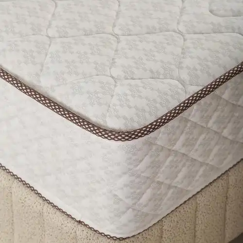 吉斯两用双人单双人3d床垫棕榈椰棕弹簧舒妃弹簧床垫