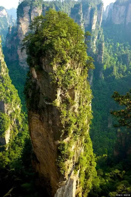 阿凡达中,为什么酋长夫人选择救杰克?是真慈悲么?