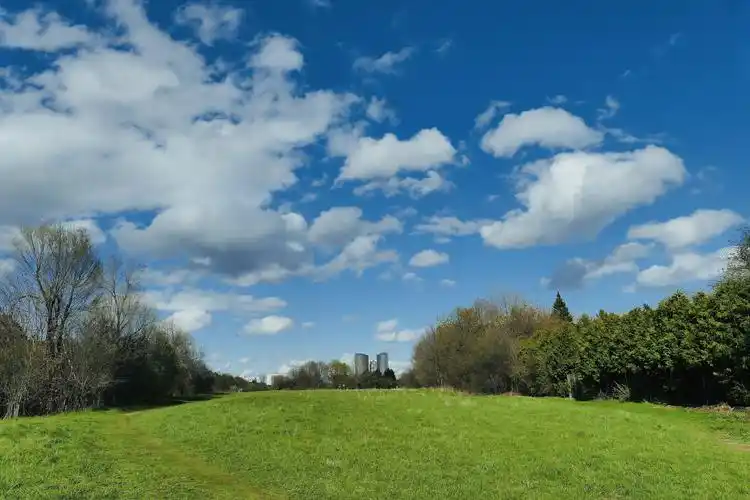 2020年回顾:身边风景也美丽 且看且珍惜