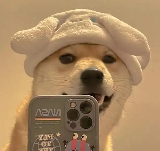 狗头头像(逗比)