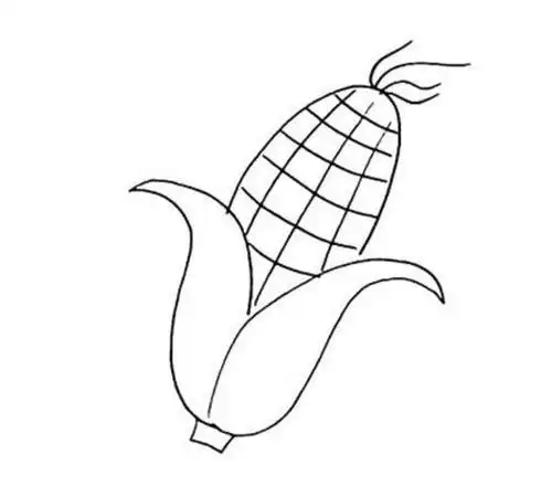 幼儿园画蔬菜简笔画法玉米