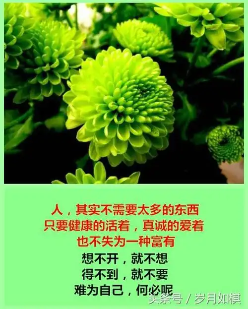 人生,说复杂就复杂,说简单就简单!看完瞬间醒悟