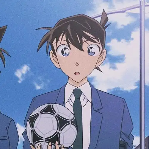 名侦探柯南新一小兰