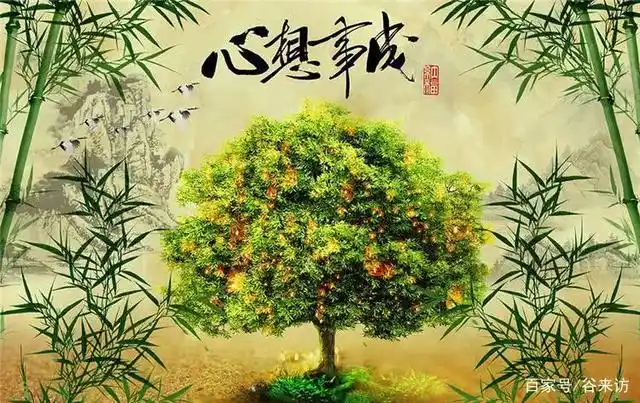 好运找上门!2021年运势反弹,财气提升,富贵又多金的生肖!