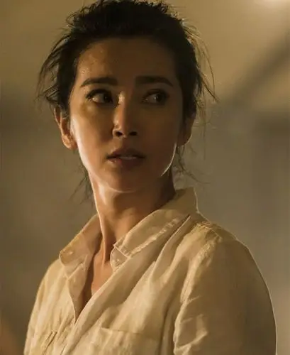 电影谜巢李冰冰剧照及上映时间和主要演员简介