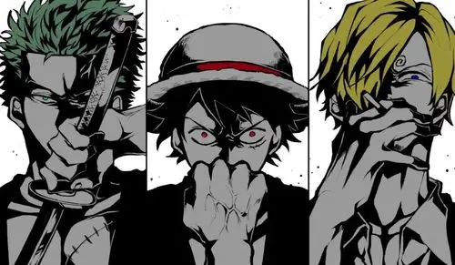 海贼王 - 堆糖,美图壁纸兴趣社区