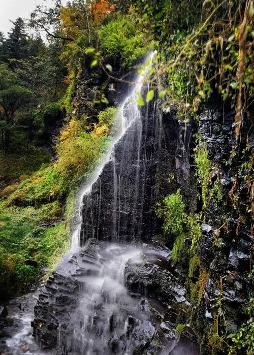 长白山十五道沟望天鹅景区