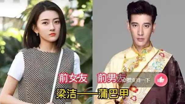 娱乐圈隐藏太深的明星前任蔡少芬和吴奇隆相恋多年靳东江珊