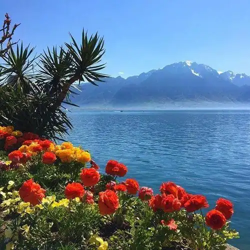 简单快乐的心态句子句句阳光正能量