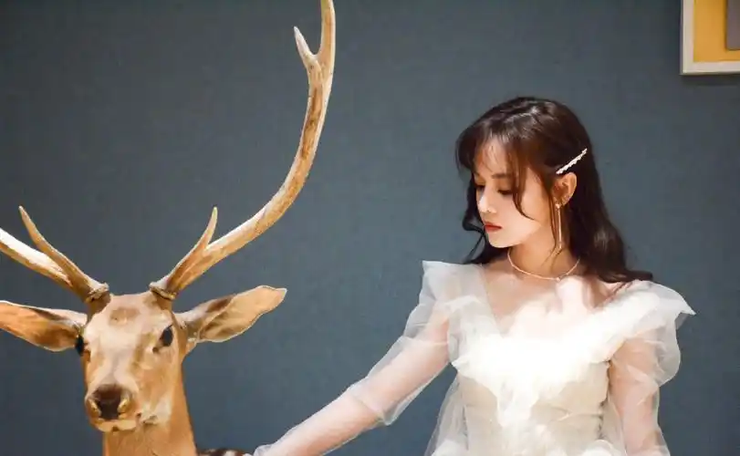 黄霄云歌手当打之年第五期剧照图片