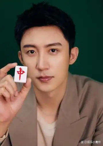 这次,接到联合国新闻采访的黄景瑜,让世界看到了中国演员的实力