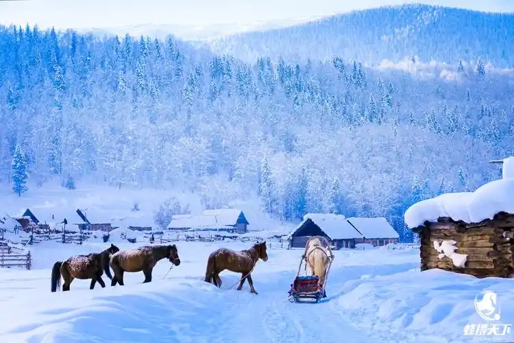 蜂摄天下——新疆雪景,白雪皑皑中的静寂之美